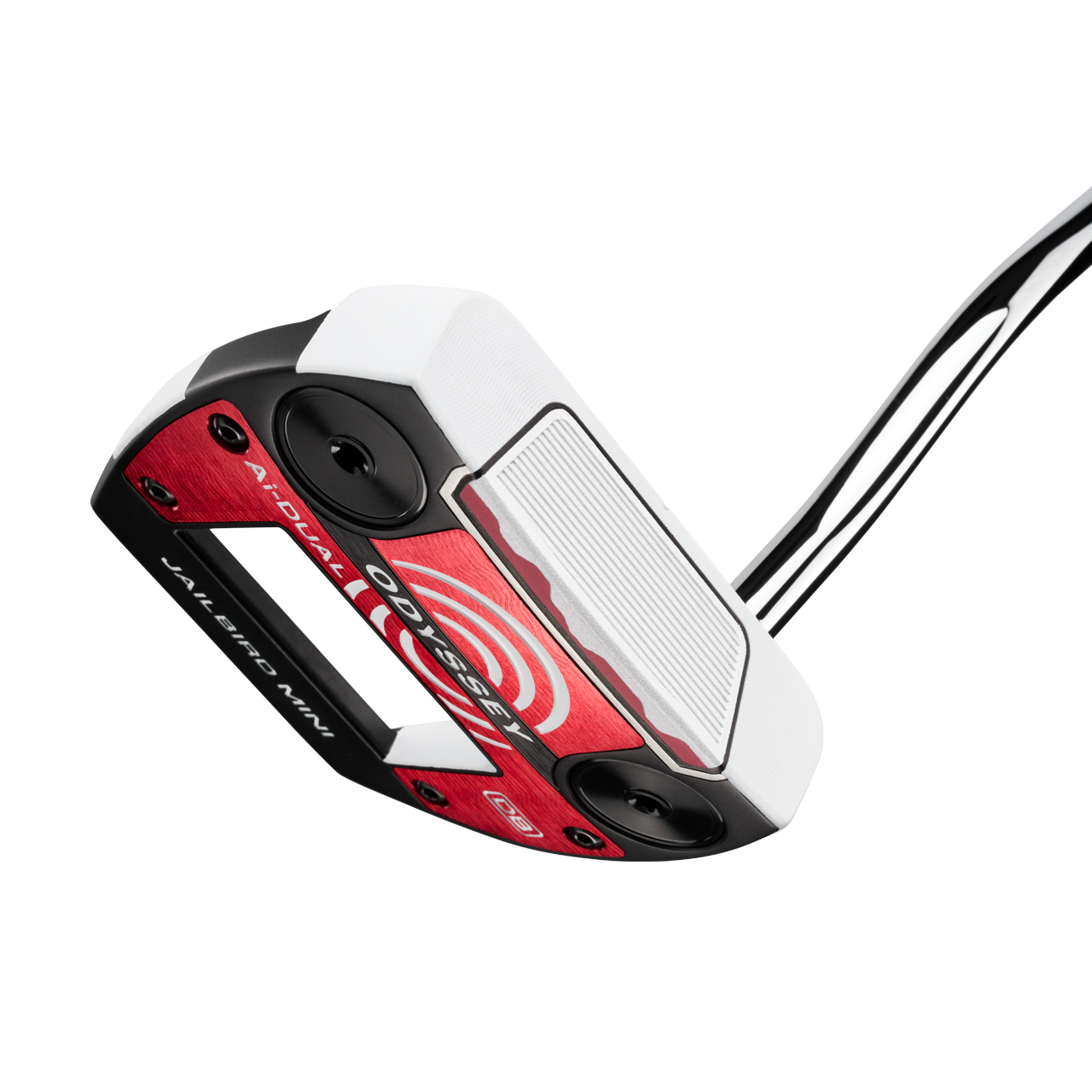 Ai Dual, Putter