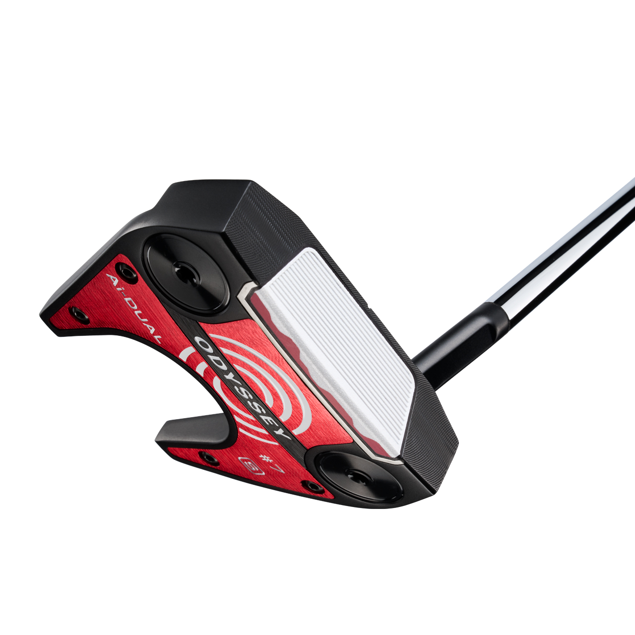Ai Dual, Putter