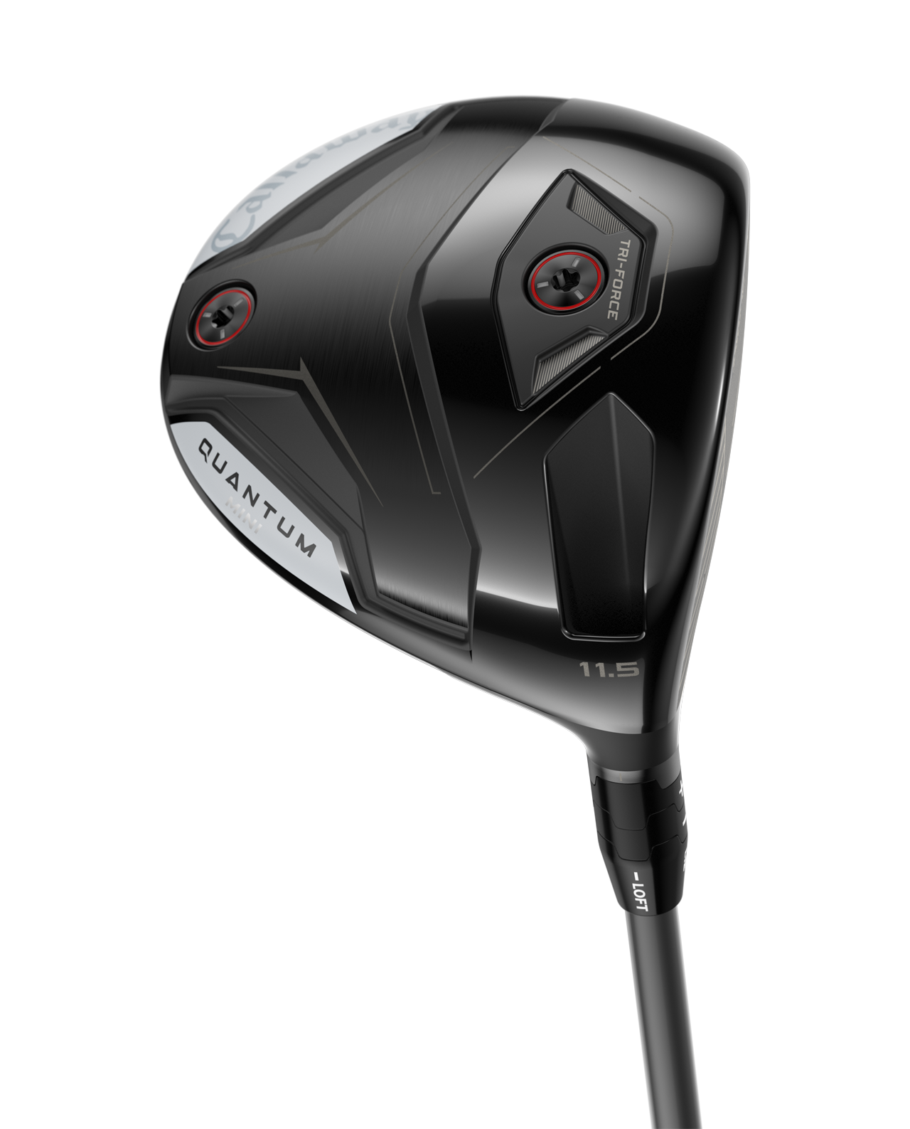 Quantum Mini, Driver, Herr
