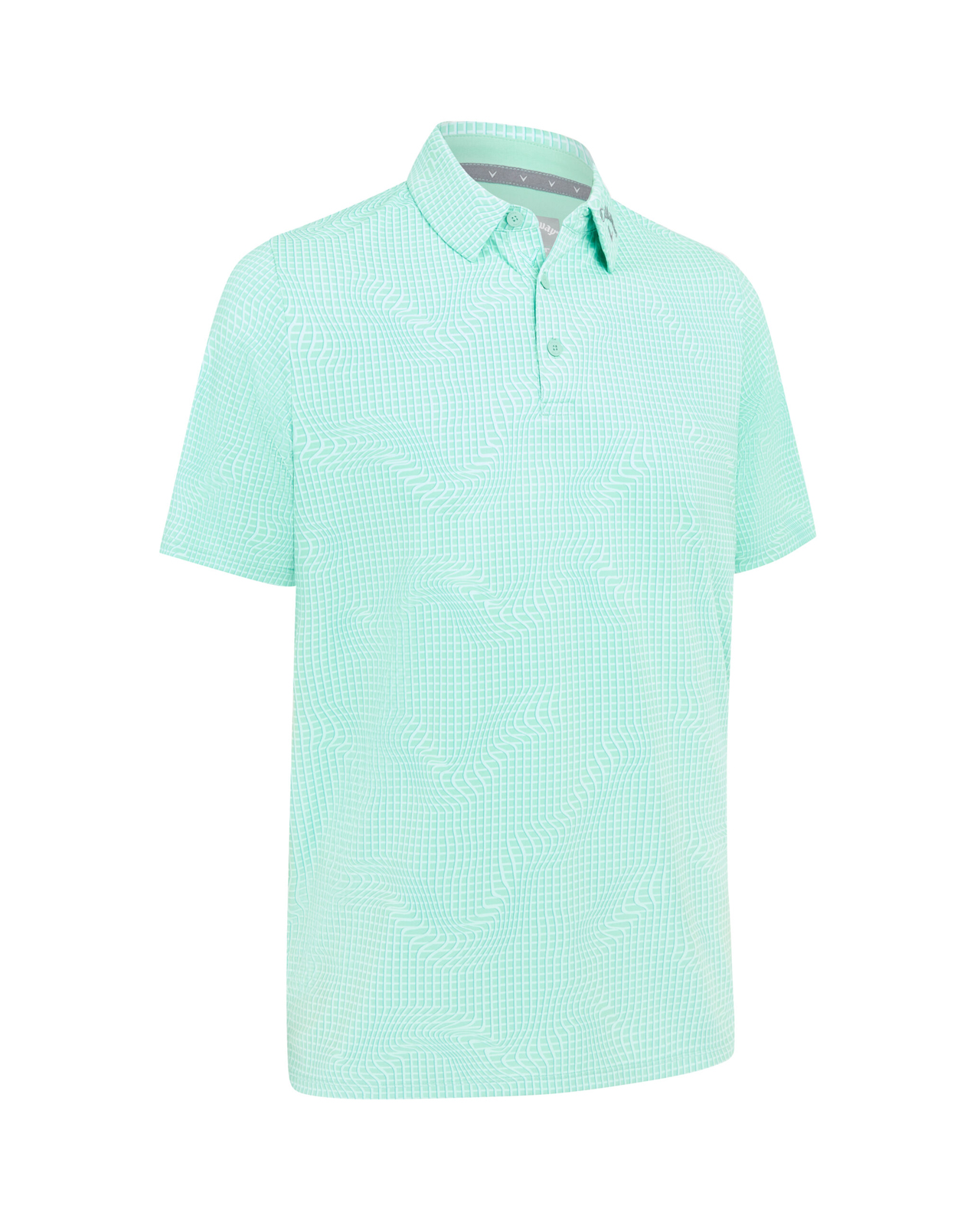 Warped Gingham Print, Piké, Herr - neptune_green