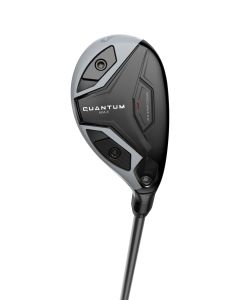 Quantum Max, Hybrid, Herr